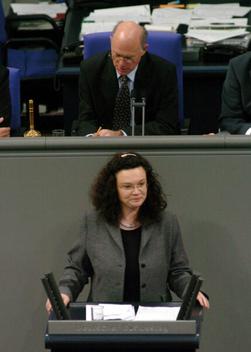 Nahles, Andrea; Lammert, Norbert Reichstagsgebäude, Plenarsaal
