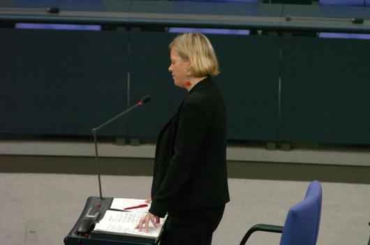 Lötzsch, Gesine Reichstagsgebäude, Plenarsaalebene