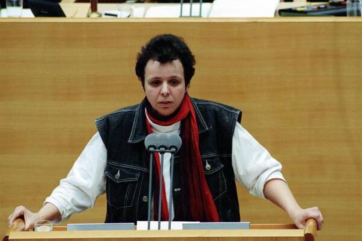 Schönberger, Ursula Liegenschaften in Bonn, Plenargebäude