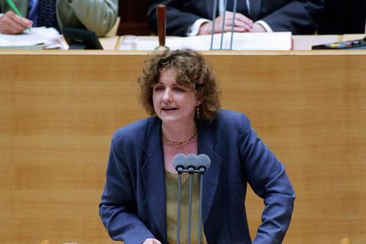 Steindor, Marina Liegenschaften in Bonn, Plenargebäude