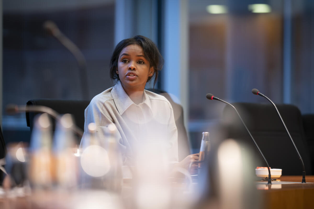 Die Trägerin des Deutschen Afrika-Preises 2020, Frau Ilwad Elman aus Somalia, im Gespräch mit dem Ausschuss für wirtschaftliche Zusammenarbeit und Entwicklung des Deutschen Bundestages. Die Trägerin des Deutschen Afrika-Preises 2020, Frau Ilwad Elman aus Somalia, im Gespräch mit dem Ausschuss für wirtschaftliche Zusammenarbeit und Entwicklung des Deutschen Bundestages.