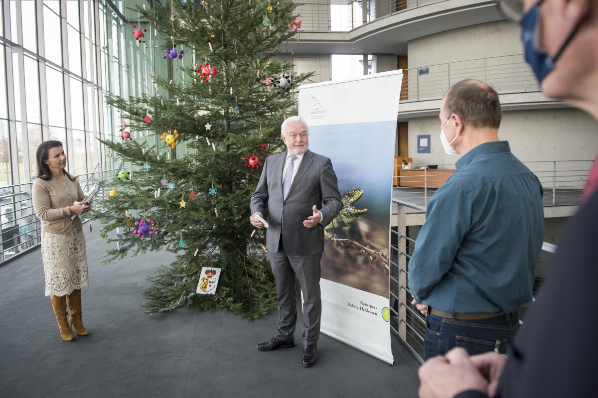 Übergabe des Weihnachtsbaums aus dem Naturpark Dahme-Heideseen an Vizepräsident Wolfgang Kubicki: (vlnr) Jana Schimke, CDU/CSU, MdB, Naturpark-Botschafterin des Naturparks Dahme-Heideseen, Vizepräsident Wolfgang Kubicki, FDP, MdB, Gunnar Heyne, Leiter des Naturparks Dahme-Heideseen, vor dem Baum im Paul-Löbe-Haus. Kubicki, Wolfgang; Schimke, Jana Übergabe des Weihnachtsbaums aus dem Naturpark Dahme-Heideseen an Vizepräsident Wolfgang Kubicki: (vlnr) Jana Schimke, CDU/CSU, MdB, Naturpark-Botschafterin des Naturparks Dahme-Heideseen, Vizepräsident Wolfgang Kubicki, FDP, MdB, Gunnar Heyne, Leiter des Naturparks Dahme-Heideseen, vor dem Baum im Paul-Löbe-Haus.