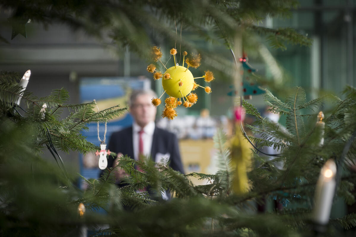 Übergabe des Weihnachtsbaums aus dem Naturpark Dahme-Heideseen an Vizepräsident Wolfgang Kubicki: Baumschmuck zu Corona-Zeiten. Übergabe des Weihnachtsbaums aus dem Naturpark Dahme-Heideseen an Vizepräsident Wolfgang Kubicki: Baumschmuck zu Corona-Zeiten.