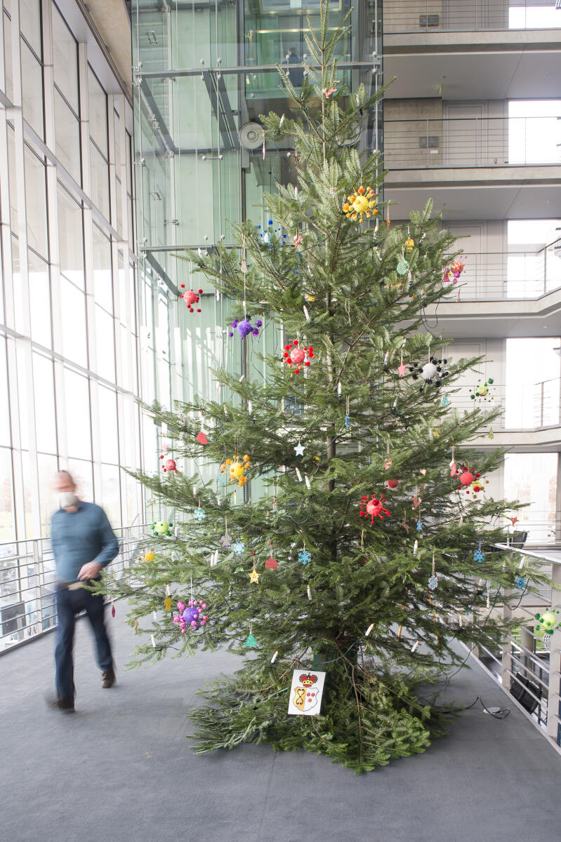 Übergabe des Weihnachtsbaums aus dem Naturpark Dahme-Heideseen an Vizepräsident Wolfgang Kubicki im Paul-Löbe-Haus: Blick auf den Weihnachtsbaum. Übergabe des Weihnachtsbaums aus dem Naturpark Dahme-Heideseen an Vizepräsident Wolfgang Kubicki im Paul-Löbe-Haus: Blick auf den Weihnachtsbaum.