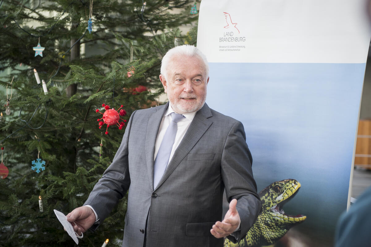 Übergabe des Weihnachtsbaums aus dem Naturpark Dahme-Heideseen an Vizepräsident Wolfgang Kubicki: Vizepräsident Wolfgang Kubick, FDP, MdB, vor dem Baum im Paul-Löbe-Haus. Kubicki, Wolfgang Übergabe des Weihnachtsbaums aus dem Naturpark Dahme-Heideseen an Vizepräsident Wolfgang Kubicki: Vizepräsident Wolfgang Kubick, FDP, MdB, vor dem Baum im Paul-Löbe-Haus.