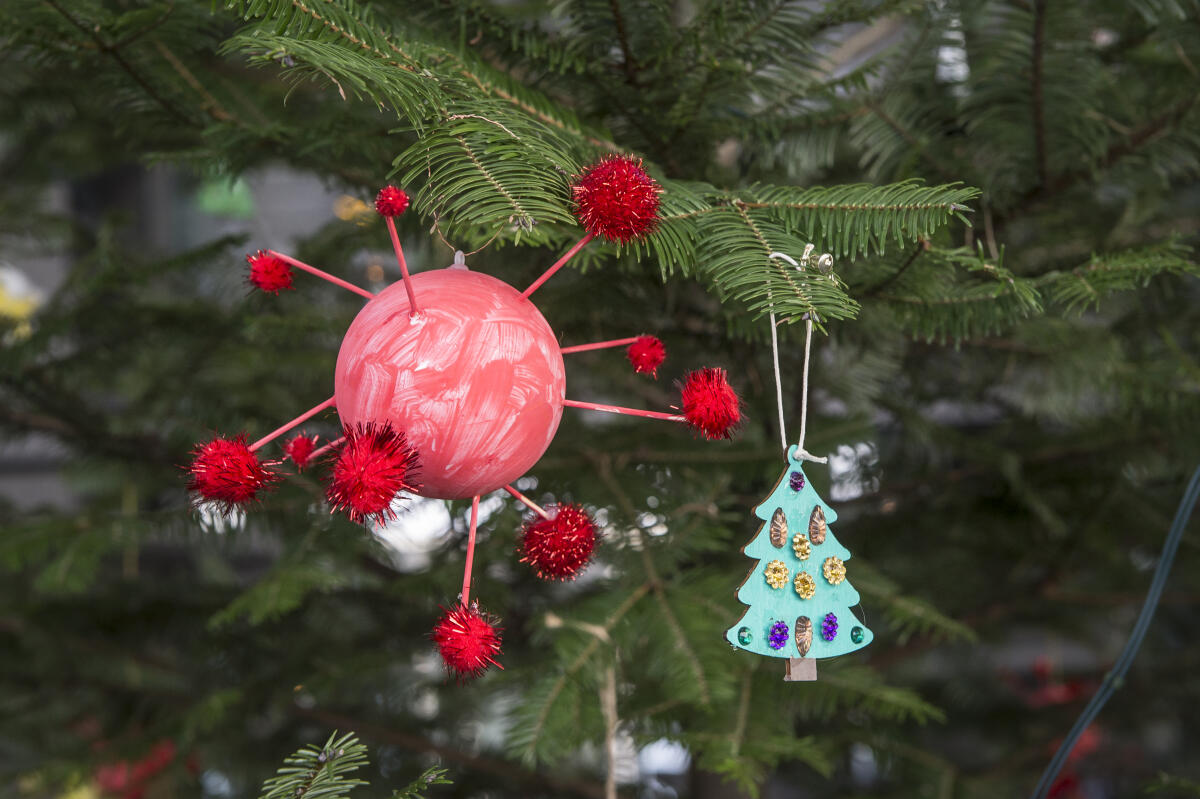Übergabe des Weihnachtsbaums aus dem Naturpark Dahme-Heideseen an Vizepräsident Wolfgang Kubicki im Paul-Löbe-Haus: Baumschmuck zu Corona-Zeiten. Übergabe des Weihnachtsbaums aus dem Naturpark Dahme-Heideseen an Vizepräsident Wolfgang Kubicki im Paul-Löbe-Haus: Baumschmuck zu Corona-Zeiten.