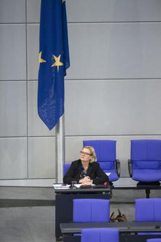 Högl, Eva Reichstagsgebäude, Plenarsaal