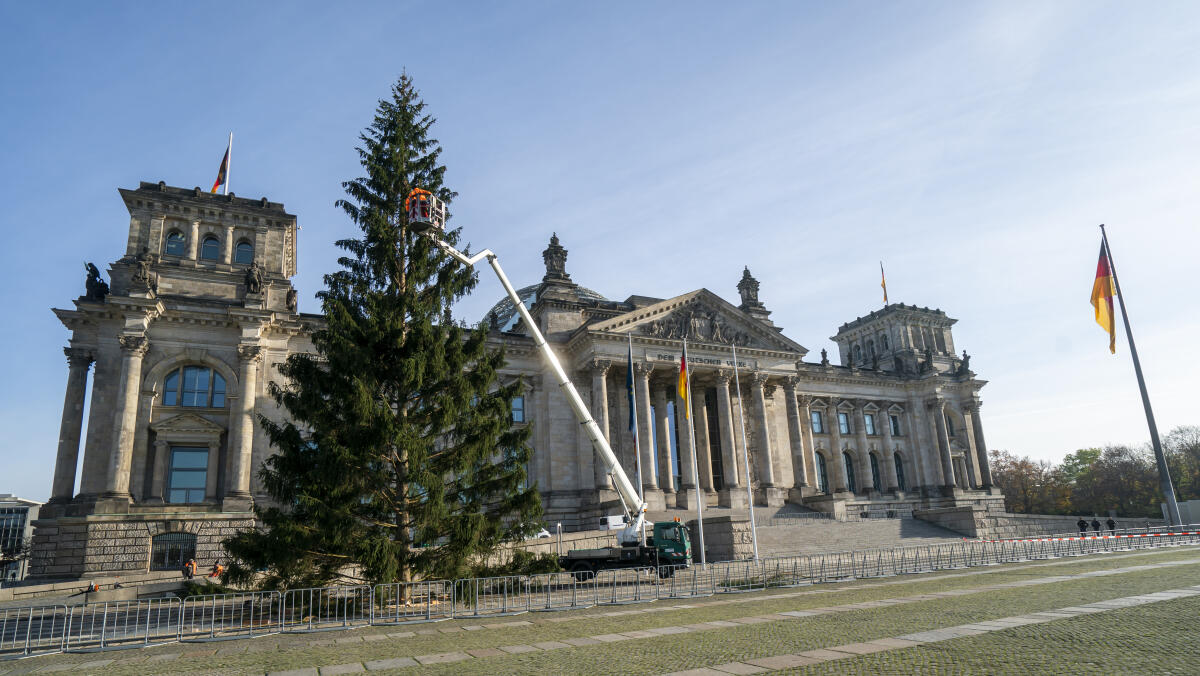 Aufbau des Weihnachtsbaumes vor dem Reichstag. Aufbau des Weihnachtsbaumes vor dem Reichstag.