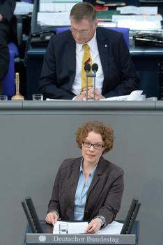 Verlinden, Julia; Singhammer, Johannes Reichstagsgebäude, Plenarsaal