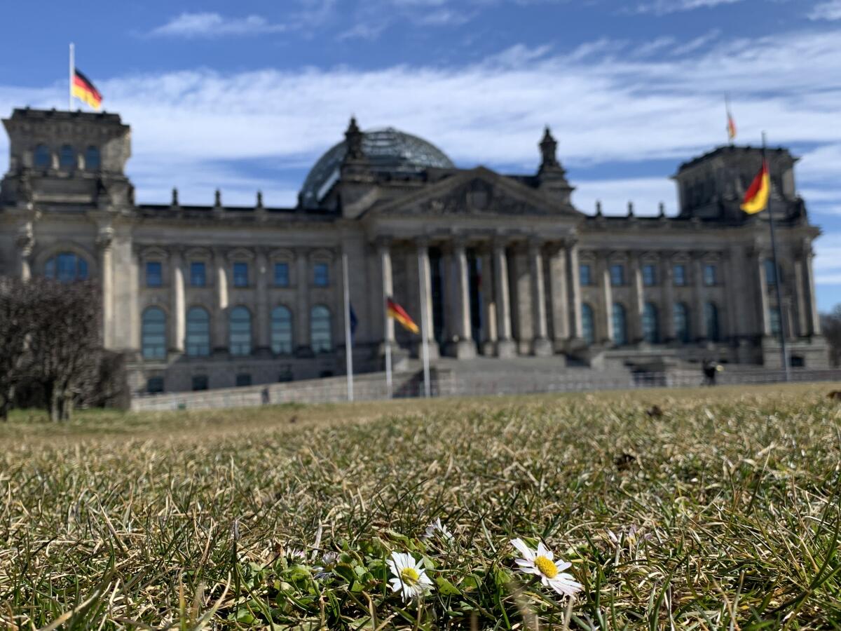 Blumen vor dem Reichstagsgebäude an einem Frühlingstag Blumen vor dem Reichstagsgebäude an einem Frühlingstag