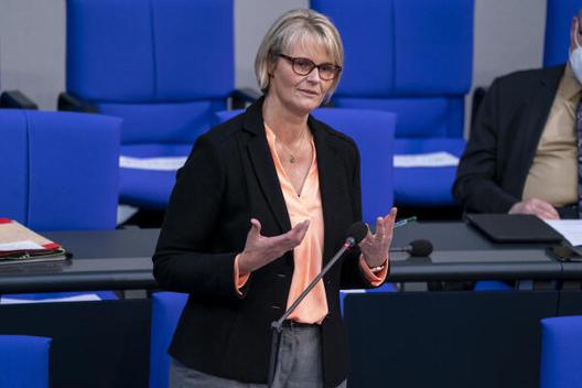 Karliczek, Anja Reichstagsgebäude, Plenarsaal