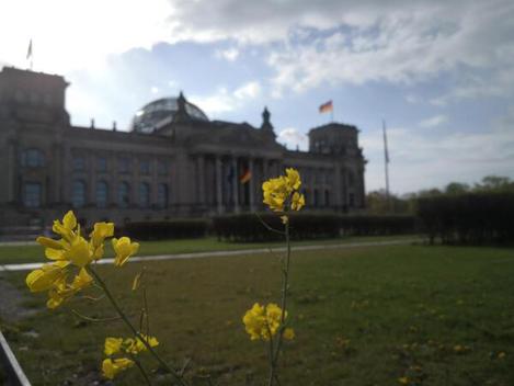  Reichstagsgebäude, Außenansicht