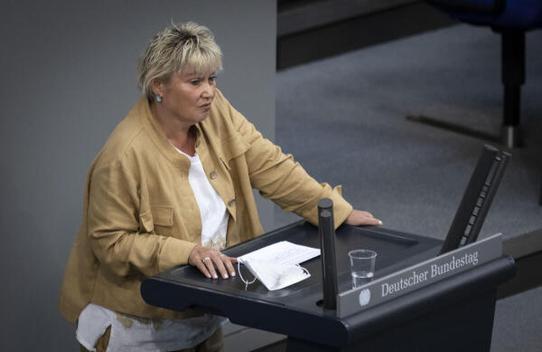 Heinrich, Gabriela Reichstagsgebäude, Plenarsaal