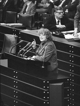Schmidt, Renate Liegenschaften in Bonn, Plenargebäude
