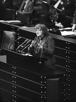 Schmidt, Renate Liegenschaften in Bonn, Plenargebäude