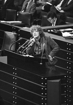Schmidt, Renate Liegenschaften in Bonn, Plenargebäude