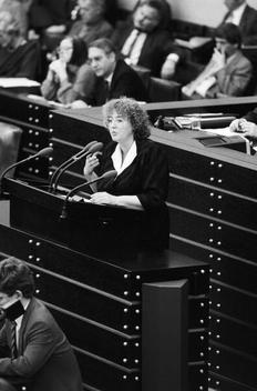 Schmidt, Renate Liegenschaften in Bonn, Plenargebäude