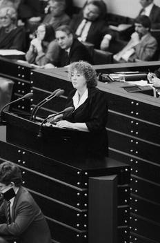 Schmidt, Renate Liegenschaften in Bonn, Plenargebäude