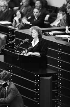 Schmidt, Renate Liegenschaften in Bonn, Plenargebäude