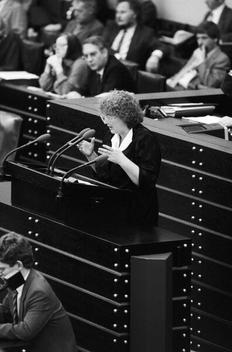 Schmidt, Renate Liegenschaften in Bonn, Plenargebäude