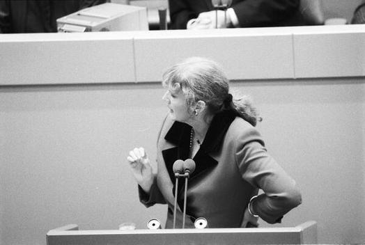 Schmidt, Renate Liegenschaften in Bonn, Plenargebäude