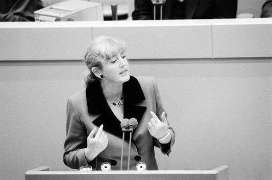 Schmidt, Renate Liegenschaften in Bonn, Plenargebäude