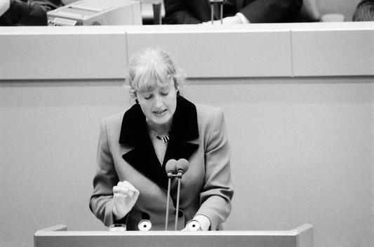 Schmidt, Renate Liegenschaften in Bonn, Plenargebäude