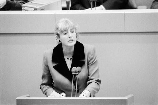 Schmidt, Renate Liegenschaften in Bonn, Plenargebäude