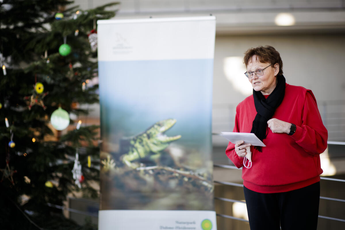 Übergabe des Weihnachtsbaumes des Verbands Naturparke Deutschland e. V. an den Deutschen Bundestag im Paul-Löbe-Haus. Der Verband Deutscher Naturparke e. V. wird vertreten durch den Präsidenten Herrn Friedel Heuwinkel, Landrat a. D., sowie den Leiter des Naturparks Dahme-Heideseen, Herrn Carsten Preuß. Bundestagsabgeordnete Sylvia Lehmann (im Bild), SPD, MdB, aus dem Wahlkreis Dahme-Spreewald nimmt an der Veranstaltung teil. Lehmann, Sylvia Übergabe des Weihnachtsbaumes des Verbands Naturparke Deutschland e. V. an den Deutschen Bundestag im Paul-Löbe-Haus. Der Verband Deutscher Naturparke e. V. wird vertreten durch den Präsidenten Herrn Friedel Heuwinkel, Landrat a. D., sowie den Leiter des Naturparks Dahme-Heideseen, Herrn Carsten Preuß. Bundestagsabgeordnete Sylvia Lehmann (im Bild), SPD, MdB, aus dem Wahlkreis Dahme-Spreewald nimmt an der Veranstaltung teil.