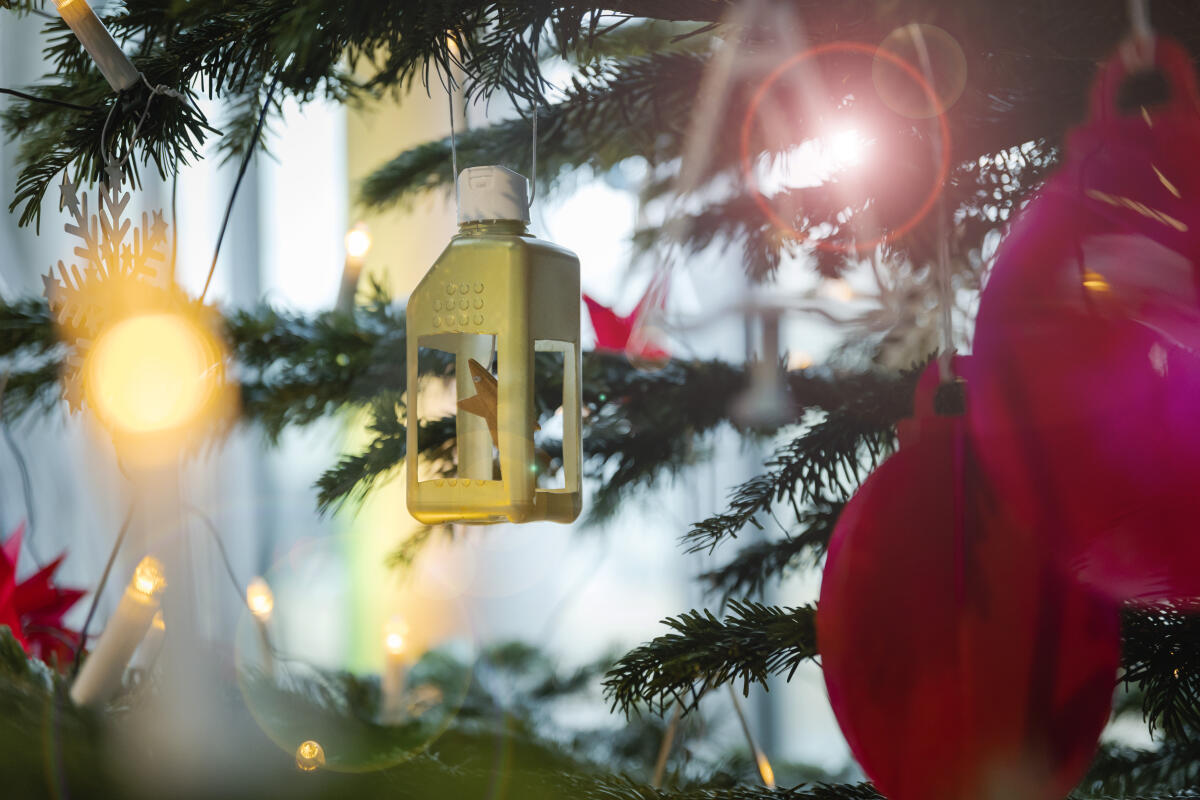 Weihnachtsbaumübergabe durch die Bundesvereinigung Lebenshilfe e.V. im Paul-Löbe-Haus. Weihnachtsbaumübergabe durch die Bundesvereinigung Lebenshilfe e.V. im Paul-Löbe-Haus.