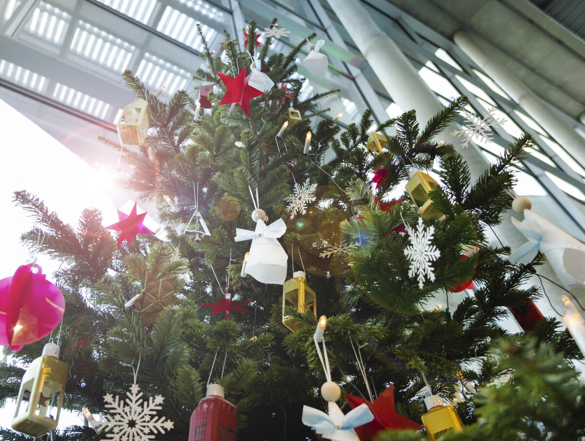 Weihnachtsbaumübergabe durch die Bundesvereinigung Lebenshilfe e.V. im Paul-Löbe-Haus. Weihnachtsbaumübergabe durch die Bundesvereinigung Lebenshilfe e.V. im Paul-Löbe-Haus.