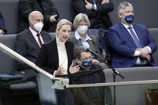 Weidel, Alice Reichstagsgebäude, Plenarsaal