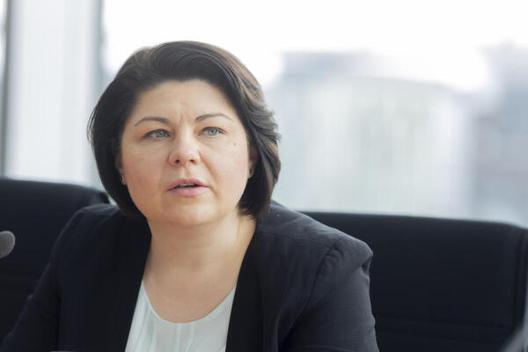 Gavrilița, Natalia Paul-Löbe-Haus, Sitzungssaal