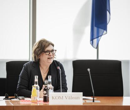 Vălean, Adina Paul-Löbe-Haus, Sitzungssaal