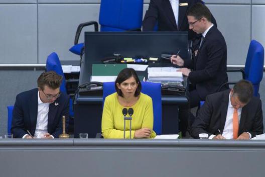Göring-Eckardt, Katrin Reichstagsgebäude, Plenarsaal