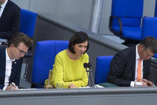 Göring-Eckardt, Katrin Reichstagsgebäude, Plenarsaal