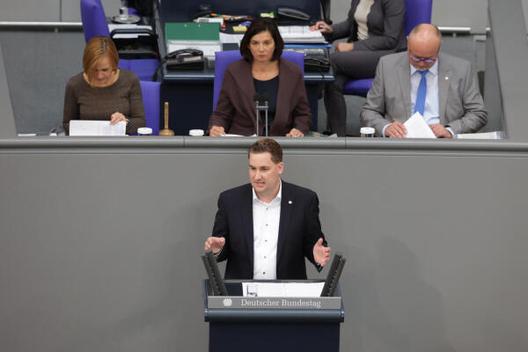 Nickholz, Brian Reichstagsgebäude, Plenarsaal