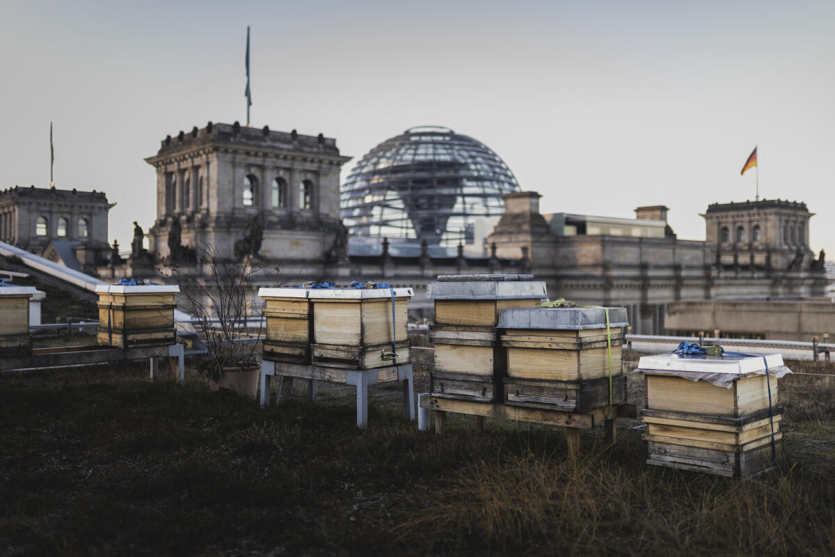  Bienenkästen des Bundestagsimkers Daniel Holstein, aufgenommen in Berlin, 14.12.2022