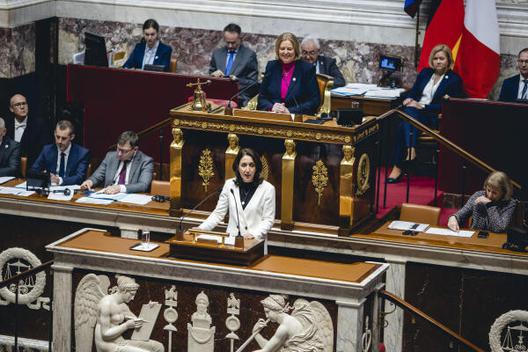 Bas, Bärbel; Özoğuz, Aydan 
