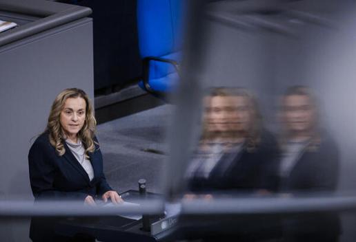 Luiza Licina-Bode Reichstagsgebäude, Plenarsaal