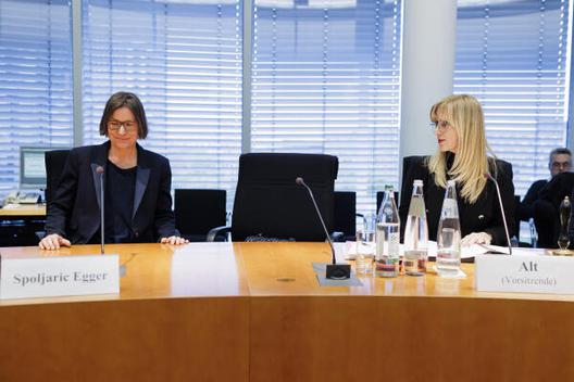Alt, Renata Paul-Löbe-Haus, Sitzungssaal