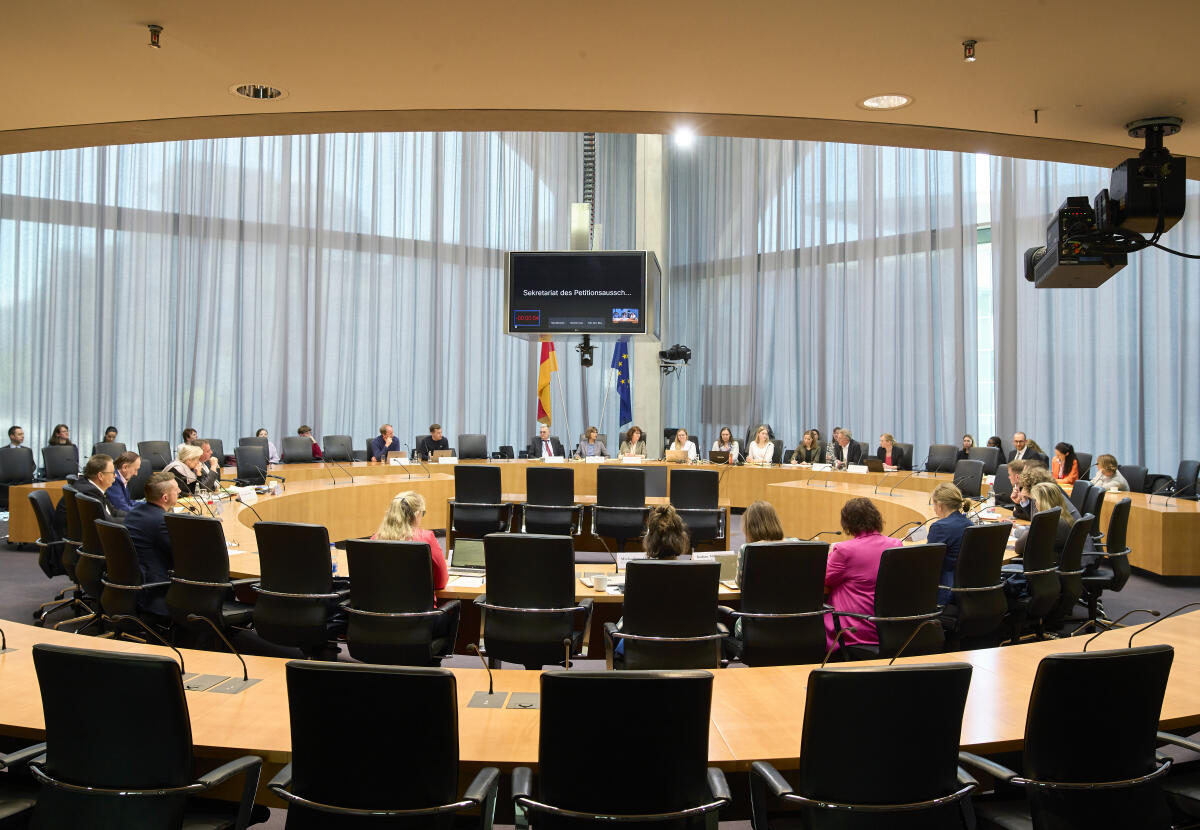  Blick in den Sitzungssaal während der öffentlichen Sitzung des im Petitionsausschusses zu den Themen LNG-Terminals vor der Küste Rügens und Vereinfachung von Balkonsolaranlagen. 