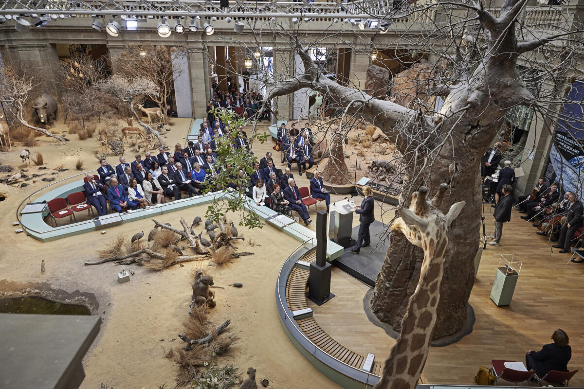 Feierstunde aus Anlass des 75. Jahrestages der konstituierenden Sitzung des Parlamentarischen Rates im Museum Koenig Bonn. Blick in den Lichthof während der Begrüßungsansprache von Bundestagspräsidentin Bärbel Bas, SPD, MdB. Feierstunde aus Anlass des 75. Jahrestages der konstituierenden Sitzung des Parlamentarischen Rates im Museum Koenig Bonn. Blick in den Lichthof während der Begrüßungsansprache von Bundestagspräsidentin Bärbel Bas, SPD, MdB.
