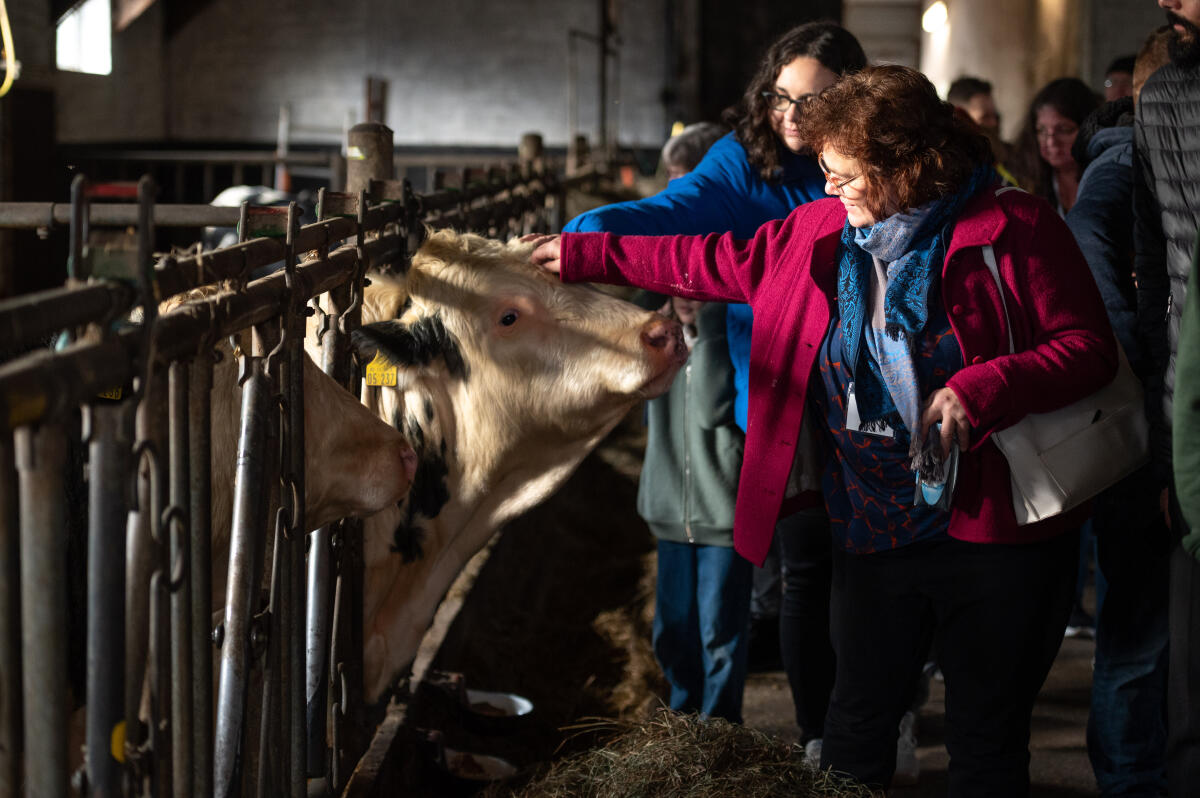 Teilnehmerinnen des Bürgerrates „Ernährung im Wandel“ bei einer Exkursion zu einem Milchvieh-Betrieb. Teilnehmerinnen des Bürgerrates „Ernährung im Wandel“ bei einer Exkursion zu einem Milchvieh-Betrieb.