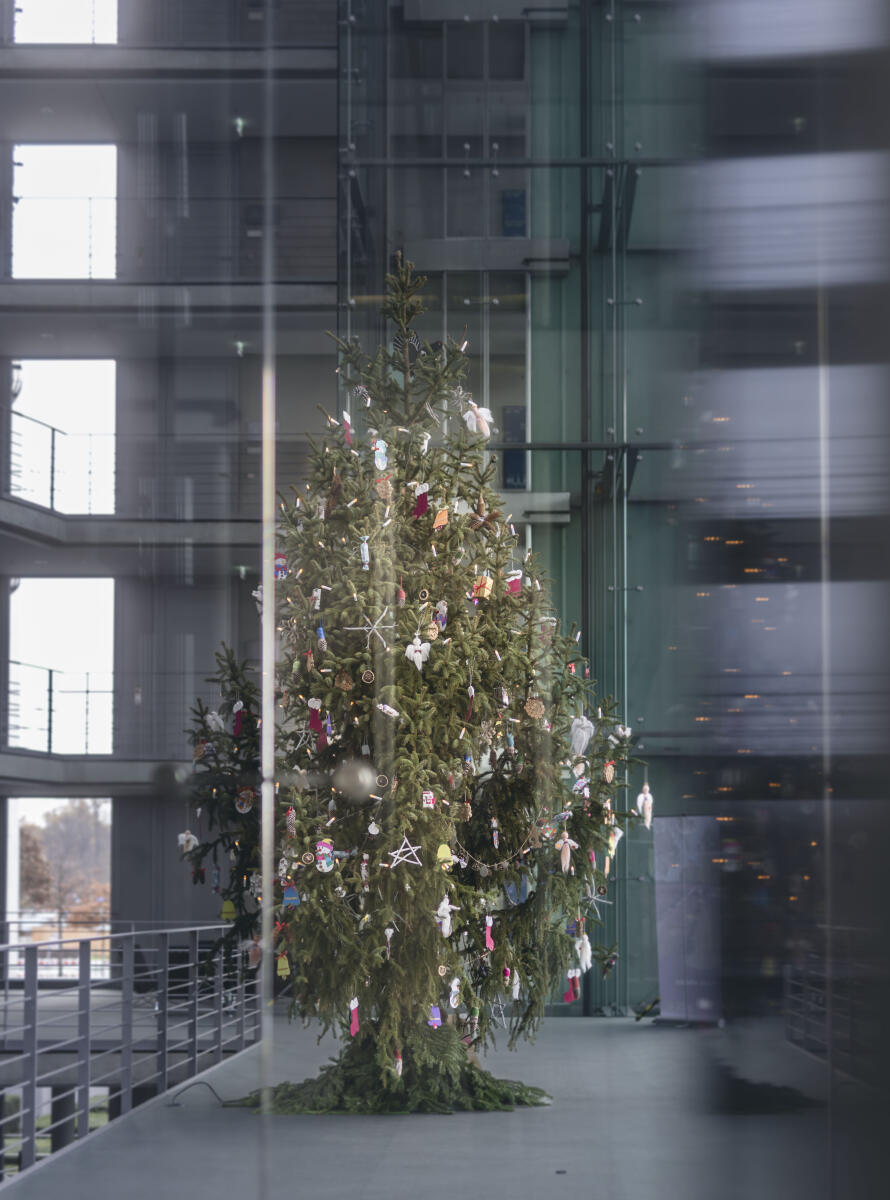 Weihnachtsbaum vom Naturpark Niederlausitzer Heidelandschaft aus Brandenburg, aufgestellt im Paul-Löbe-Haus. Weihnachtsbaum vom Naturpark Niederlausitzer Heidelandschaft aus Brandenburg, aufgestellt im Paul-Löbe-Haus.