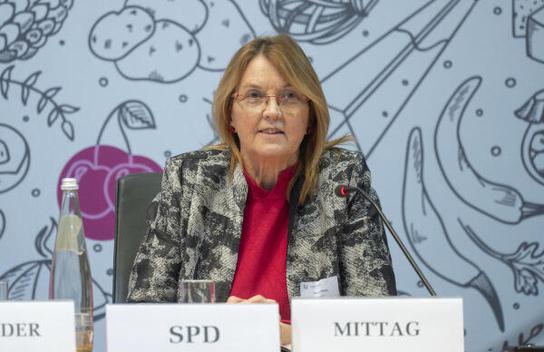 Mittag, Susanne Marie-Elisabeth-Lüders-Haus, Anhörungssaal