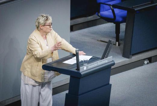 Heinrich, Gabriela Reichstagsgebäude, Plenarsaal