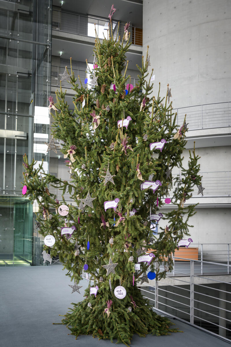  Stellvertretend für alle nationalen Naturlandschaften übergibt der Naturpark Lüneburger Heide einen Weihnachtsbaum an Bundestagsvizepräsidentin Petra Pau, Gruppe Die Linke., MdB. Blick auf den Weihnachtsbaum.