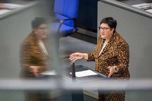 Michel, Kathrin Reichstagsgebäude, Plenarsaal