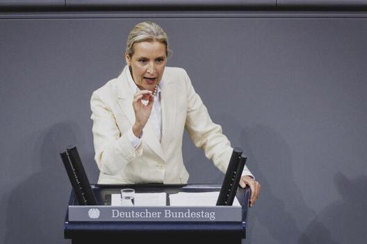 Weidel, Alice Reichstagsgebäude, Plenarsaal